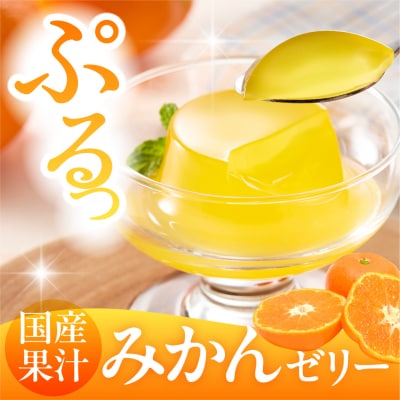 国産温州みかんゼリー1袋4個入×12袋 和歌山産業提供 山形県 東根市 hi070-005