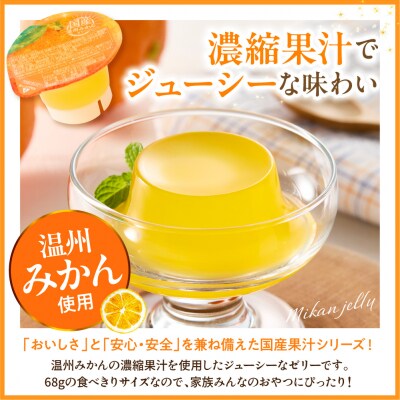 みかんゼリー 1袋4個入×12袋 和歌山産業提供 山形県 東根市 hi070-005