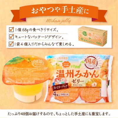 みかんゼリー 1袋4個入×12袋 和歌山産業提供 山形県 東根市 hi070-005