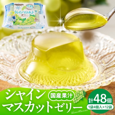 シャインマスカットゼリー1袋4個入×12袋 和歌山産業提供 山形県 東根市 hi070-007
