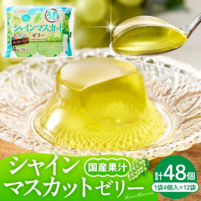 シャインマスカットゼリー 1袋4個入×12袋 和歌山産業提供 山形県 東根市 hi070-007