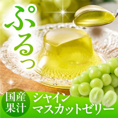 シャインマスカットゼリー1袋4個入×12袋 和歌山産業提供 山形県 東根市 hi070-007