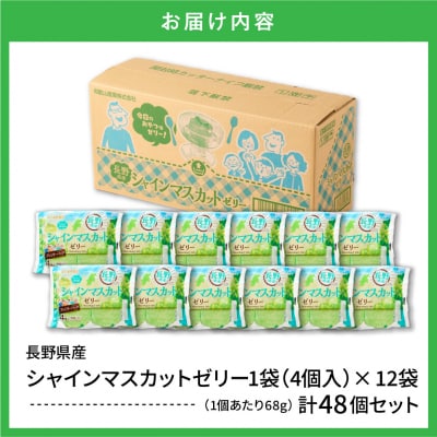 シャインマスカットゼリー 1袋4個入×12袋 和歌山産業提供 山形県 東根市 hi070-007