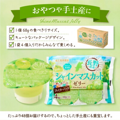 シャインマスカットゼリー 1袋4個入×12袋 和歌山産業提供 山形県 東根市 hi070-007