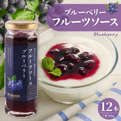 フルーツソース160g　ブルーベリー(12本)和歌山産業提供 山形県 東根市 hi070-010