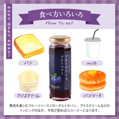 フルーツソース160g　ブルーベリー(12本)和歌山産業提供 山形県 東根市 hi070-010