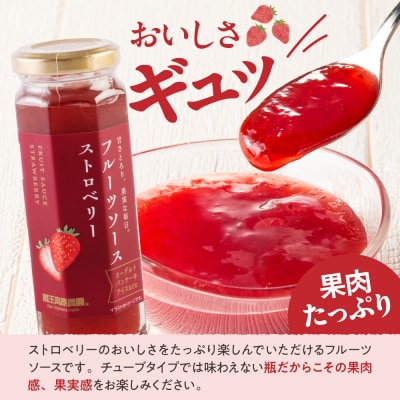 フルーツソース160g　ストロベリー(12本)和歌山産業提供 山形県 東根市 hi070-011