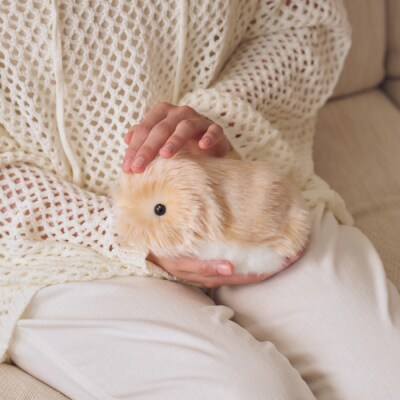 【CASIO】AIペットロボット「Moflin」PE-M10GD 山形県 東根市 hi011-121