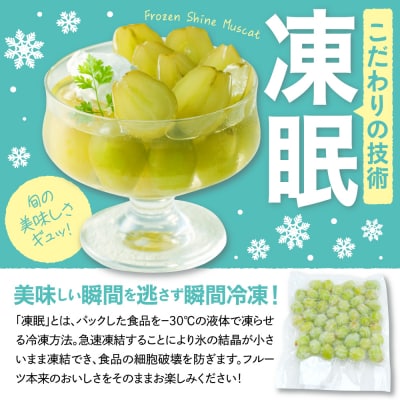 【瞬間冷凍】東根市産 シャインマスカット 大容量 500g 東根農産センター提供 hi027-246