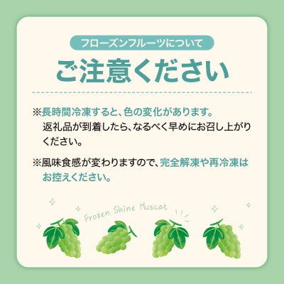 【急速冷凍】東根市産 シャインマスカット 500g 東根農産センター提供 hi027-246