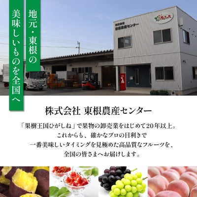 【瞬間冷凍】東根市産 カット済み 白桃&黄桃 大容量 各500g hi027-254