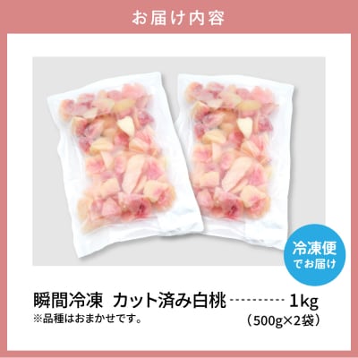 【瞬間冷凍】カット済み 白桃 大容量 500g×2袋 東根農産センター提供 hi027-250