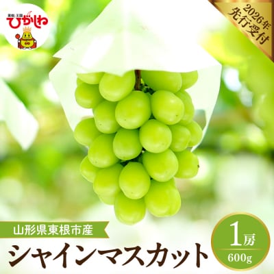 【2026年産】 シャインマスカット 約600g (1房入) 山形県 東根市 hi026-053
