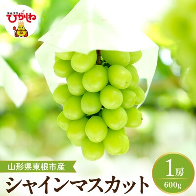 【2026年産】 シャインマスカット 約600g (1房入) 山形県 東根市 hi026-053