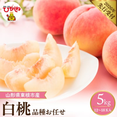【2026年産】 採れたて白桃(品種お任せ) 約5kg (12～18玉) 東根市　hi026-056
