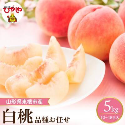 【2026年産】 採れたて白桃(品種お任せ) 約5kg (12～18玉) 東根市　hi026-056