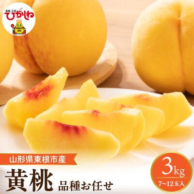 【2026年産】 採れたて黄桃(品種お任せ) 約3kg (7～12玉)晴天畑提供 hi026-057