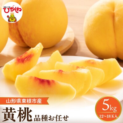 【2026年産】採れたて黄桃(品種お任せ) 約5kg (12～18玉)晴天畑提供 hi026-058