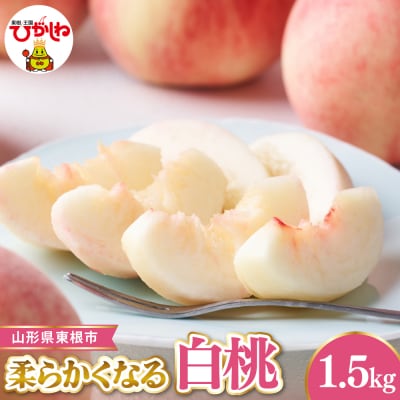 【令和8年産】 白桃 秀品 柔らかくなる桃  約1.5kg ベジフルひがしね hi104-003