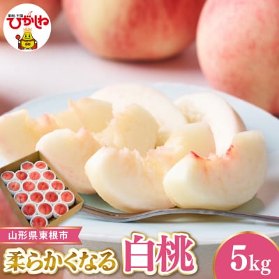 【令和8年産】 白桃 秀品 柔らかくなる桃 約5kg ベジフルひがしね hi104-006