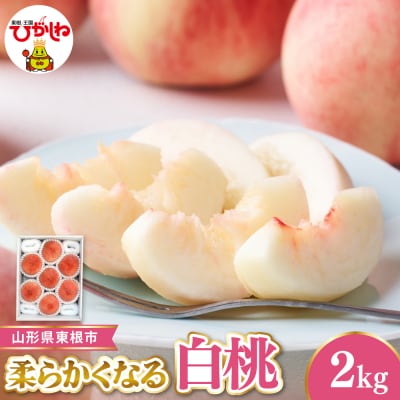 【令和8年産】 白桃 秀品 柔らかくなる桃 約2kg ジフルひがしね hi104-004