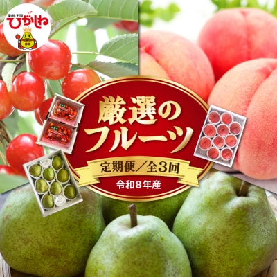 【令和8年 3回定期便】厳選のフルーツ! 東根市旬のフルーツ定期便 hi104-007