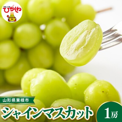 【令和8年産】シャインマスカット 約700g(1房入) ベジフルひがしね hi104-001