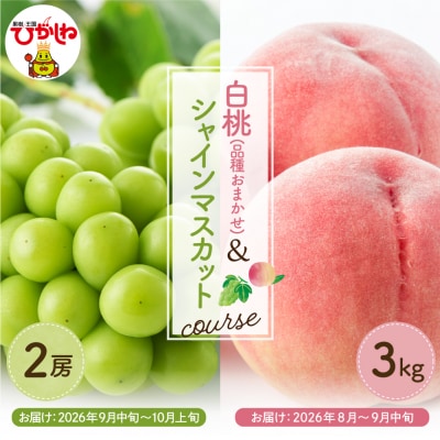 【2026年 2回定期便】果物定期便 もも シャインマスカット hi003-159