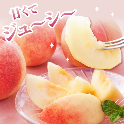 【2026年 2回定期便】果物定期便 もも シャインマスカット hi003-159