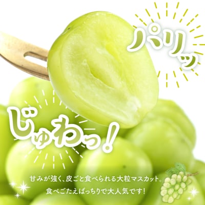 【2026年 2回定期便】果物定期便 もも シャインマスカット hi003-159