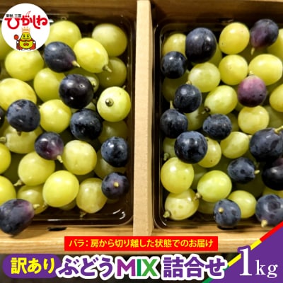 【2026年産】ぶどうMIX詰め合わせ 訳ありバラ 約1kg 東根市 松栗提供 hi062-067
