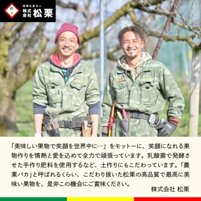 【2026年産】シャインマスカット 訳ありバラ 約1kg 東根市 松栗提供 hi062-066