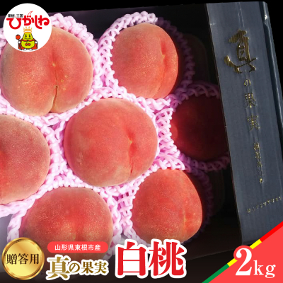 【2026年産】真の果実 贈答用 白桃2kg 松栗提供 山形県 東根市 hi062-055