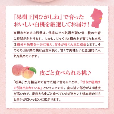 【2026年産】真の果実 贈答用 白桃2kg 松栗提供 山形県 東根市 hi062-055