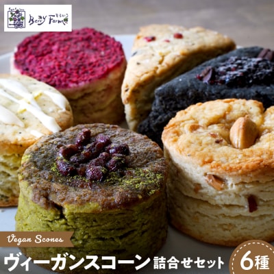 ヴィーガンスコーン6種類詰合せセット そらいろ Berry Farm提供 東根市　hi094-001