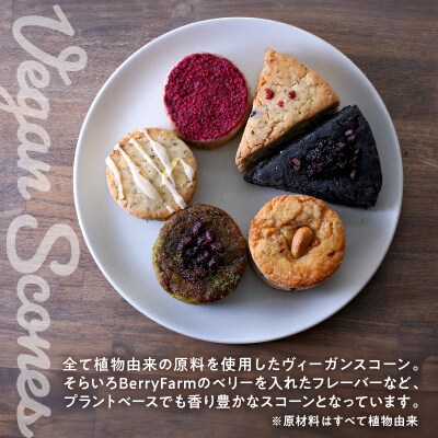 ヴィーガンスコーン6種類詰合せセット そらいろ Berry Farm提供 東根市　hi094-001