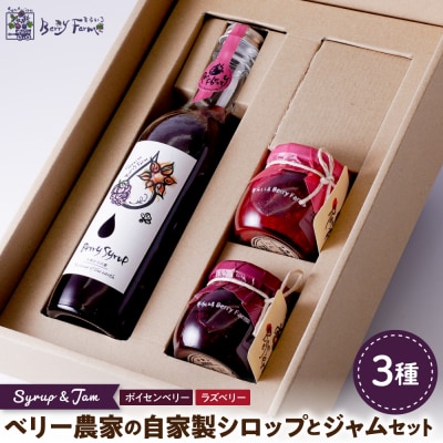 ベリー農家の自家製ラズベリーシロップとジャム2種セット 山形県 東根市 hi094-006