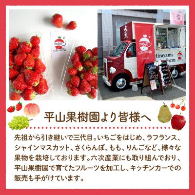 平山果樹園 いちごのぱふケーキ(8個入り) 山形県 東根市　hi100-001