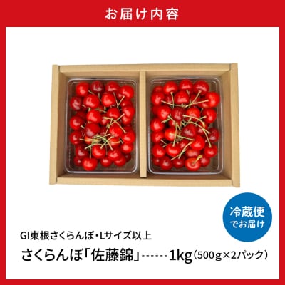 2027年産 GI東根さくらんぼ「佐藤錦」 秀品 L以上 1kgバラ詰め hi097-014-r9