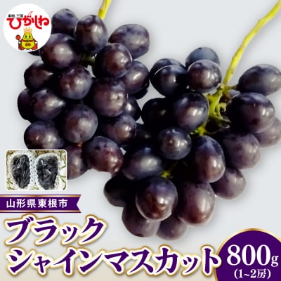 2026年産 東根市産 ブラックシャインマスカット 秀品 約800g(1～2房) hi104-008