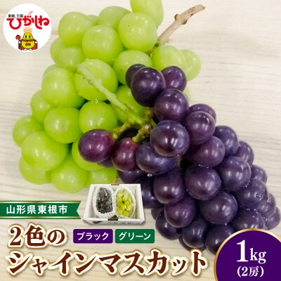 【2026年産】 2色のシャインマスカット ブラック&グリーン 秀品 計2房  hi104-009