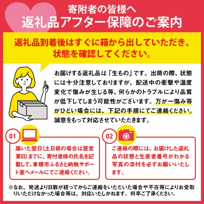 【2026年産】 東根市産黄桃　秀品 柔らかくなる桃 約2kg ベジフルひがしね hi104-010