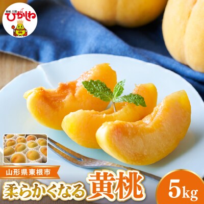 【2026年産】 東根市産黄桃　秀品 柔らかくなる桃 約5kg ベジフルひがしね hi104-012
