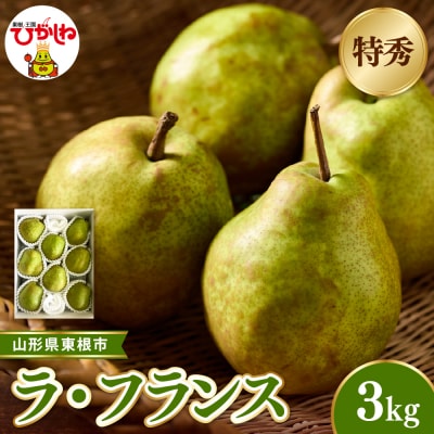 【2026年産】東根市産ラ・フランス 約3kg(玉数おまかせ) 特秀品 hi104-014