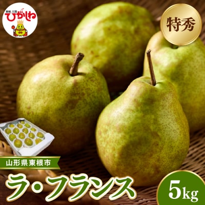 【2026年産】東根市産ラ・フランス 約5kg(玉数おまかせ) 特秀品 hi104-015