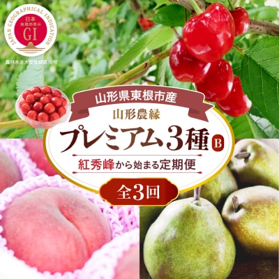 2026年 3回定期便 山形農縁プレミアム3種B～さくらんぼ紅秀峰から始まる～ hi082-065b