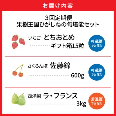 【2026年産 3回定期便】果樹王国ひがしねの旬堪能セット 山形県 東根市 hi069-022
