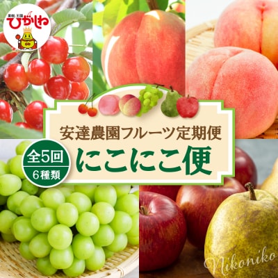 【2026年 5回定期便】安達農園フルーツ定期便 にこにこ便  山形県 東根市 hi037-012