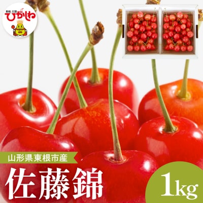 【2026年産】さくらんぼ「佐藤錦」秀品 1kgバラ詰め Lサイズ以上 hi037-013