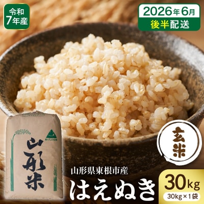 【令和7年産】※2026年6月後半発送※ 玄米 はえぬき30kg hi053-065-063